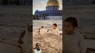 falastin cutebaby beautiful love palestine palestinian [upl. by Naivart]