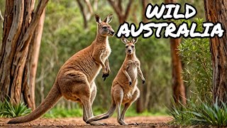 Australias Unique Animals A Wildlife Adventure [upl. by Haimaj776]