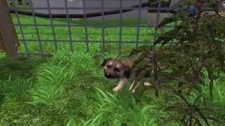 German Shepherd in Zoo Tycoon 2 [upl. by Tildy]