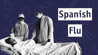 Exploding the Spanish Flu Myth [upl. by Lemar]