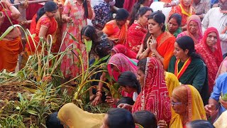 UdayGopal Bhaskar is live Rajsamand jila mukhyalay sthit Dwarkadhish Mandir mein Govardhan puja 2024 [upl. by Haraf793]