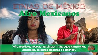 Afro Mexicanos [upl. by Adnocahs]