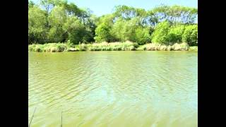 SWANBOROUGH FARM FISHERY NR LEWES EAST SUSSEX [upl. by Namdor]