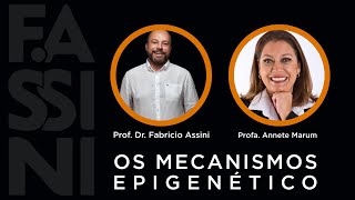 Os Mecanismos Epigenéticos [upl. by Stoops909]