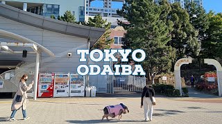 4K WALK  Japan  Tokyo  Odaiba [upl. by Siroved]