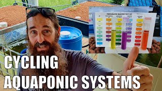 How to Cycle An Aquaponics System [upl. by Muraida]