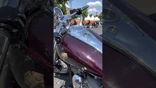 Magic Bike Rüdesheim harleydavidson harleysite magicbikeruedesheim [upl. by Rot]