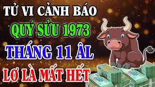 Vận Trình Tháng 11 Âm Lịch Tuổi QUÝ SỬU 1973 Chú Ý 3 Điều Này Vượt Mọi Vận Hạn Trả Sạch Nợ [upl. by Llenoil]