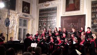 Ensemble LaGioia quotEn Stjerne klarquot K Nystedt Kloster Zangberg 2012 [upl. by Annahaj353]