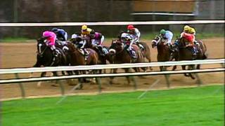 2000 Breeders Cup Classic [upl. by Uriah]