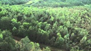 Tuscaloosa Tornado Damage Aerials Part 3 [upl. by Horlacher932]