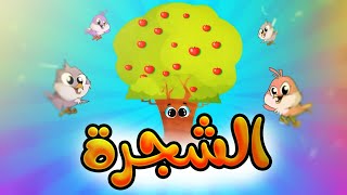 الشجرة  طيور بيبي Toyor Baby [upl. by Chelsey]