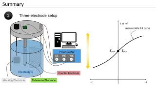 Three electrode setup [upl. by Ailisec299]