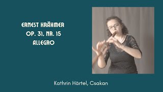 E Krähmer  Allegro op 31 Nr 15 Kathrin Härtel Csakan [upl. by Nurat568]