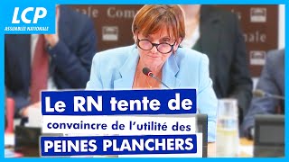 Vive passe darmes entre le PS et le RN sur les peines planchers  23102024 [upl. by Onia]