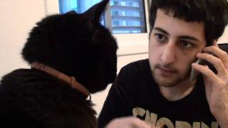 Yotam annoys his cat [upl. by Rosemonde]