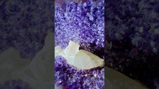 Amethyst at the Dealers’ Tucson Fall Gem amp Mineral Show 2024 shorts tucsongemandmineralshow [upl. by Bores493]