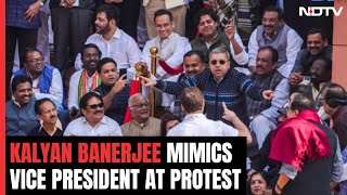 MP Mimics Vice President At Protest Rahul Gandhi Takes Video quotIm So Tallquot [upl. by Ramunni45]