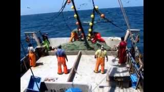 PESCA DE MERLUZA EN PERÚ [upl. by Ifen]