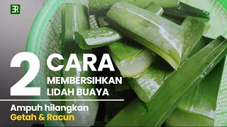 2 Cara Menghilangkan Getah dan Racun Lidah Buaya [upl. by Nagle241]