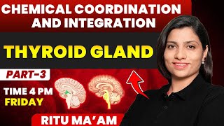 Thyroid Gland  Chemical Coordination and Integration Detailed class 03  Ritu Rattewal [upl. by Kroll]