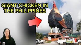 Giant chicken in the Philippines [upl. by Otokam]