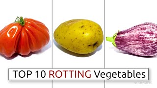 Top 10 Rotting Vegetable Timelapses [upl. by Ddal943]