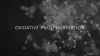 Biochemistry  Oxidative phosphorylation [upl. by Karalynn927]