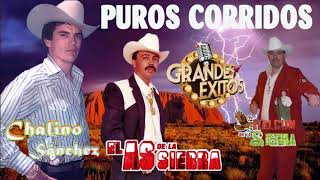 Chalino Sánchez  El Halcon De La Sierra Vs El As De La Sierra  Puros Corridos Exitos Viejitos Mix [upl. by Jerrold782]