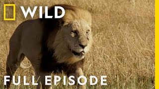 Rival Dynasties amp the Fall of the Queen Full Episode  Savage Kingdom [upl. by Suaeddaht443]