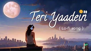 Teri Yaadein New Hindi Lofi song  Slow and Reverb Song  LofiPitaara ♥️ [upl. by Riva311]