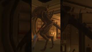 THE MOST TERRIFYING Alien Isolation Moments Caught on Camera [upl. by Treboh]