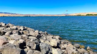 Fishing O’Neill Forebay Reservoir Ca [upl. by Schroth]