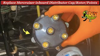 Replace Mercruiser 30L Distributer cap rotor and points [upl. by Merras416]