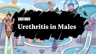 Urethritis in Males Lesson Part 1  Sketchy Medical  USMLE Step 2 CK [upl. by Anrapa]