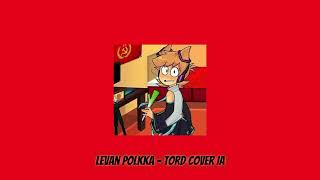 Levan polkka  Tord cover IA [upl. by Matronna114]