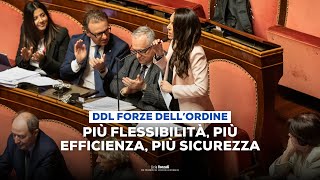 Intervento Ddl Forze dellOrdine  Senato 11112024 [upl. by Ainegue]