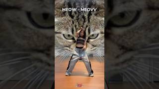 ギュジンにぴったりすぎる曲！nmixx nswer jyp fyp cover dance meow meovv kyujin [upl. by Nodab321]