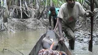 fishing  Asmat Papua [upl. by Anilosi]