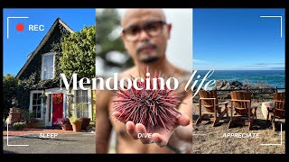 MENDOCINO  ‘24 UNI FEAST [upl. by Gnous]