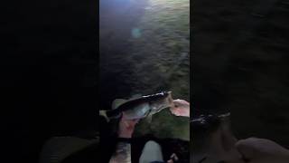 Nighttime fishing on Lake Conroe TX [upl. by Narat684]