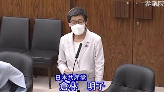 【令和6年4月12日】参議院 消費者問題特別委 日本共産党・倉林明子 [upl. by Alram]