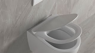 How to install DeerValley Wallhung Toilet with Concealed InWall Toilet Tank [upl. by Nwahsat]