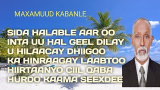 kabanle  maxamuud kabanle hees sida halable aar  maxamed yare  maxamuud m xasan kabanle heeso [upl. by Aener]