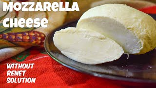 How to make Mozzarella Cheese at home  Homemade Mozzarella Cheese recipe by Cook With Us [upl. by Koch546]