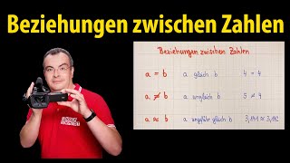 Beziehungen zwischen Zahlen  Grundlagen  Lehrerschmidt [upl. by Ailsun]