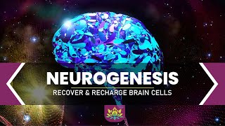 NEUROGENESIS  Recover Regrow amp Recharge Brain Cells  Healing For Brain Injury amp Stroke Recovery [upl. by Kcor41]