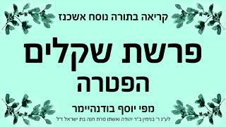 פרשת שקלים  הפטרה  נוסח אשכנז [upl. by Aicarg]