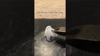 Christmas Fred The Frog christmas 3d 3dprinting fredthefrog frog [upl. by Hamilah]