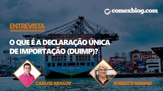 O que é a Declaração Única de Importação DUIMP  comexblogcom [upl. by Nylodnew]